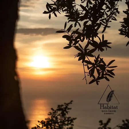Tente de luxe Habitat Eco Farm Sorrente