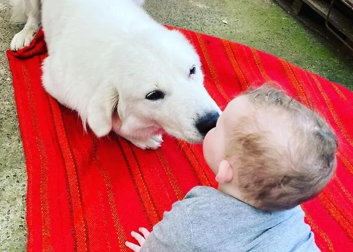 Habitat Eco Farm 索伦托