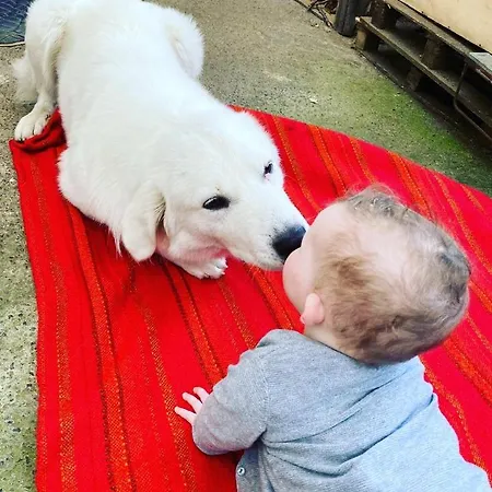 Habitat Eco Farm Sorrento