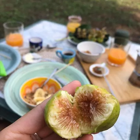 Habitat Eco Farm Campismo de Luxo *