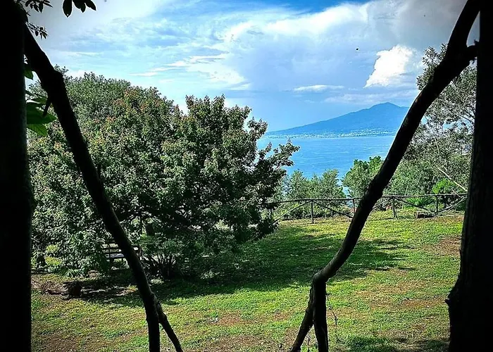 Habitat Eco Farm * سورينتو