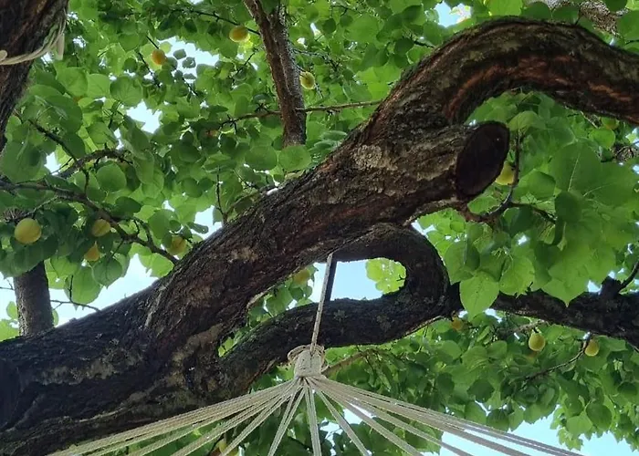 Habitat Eco Farm Luxuszelt