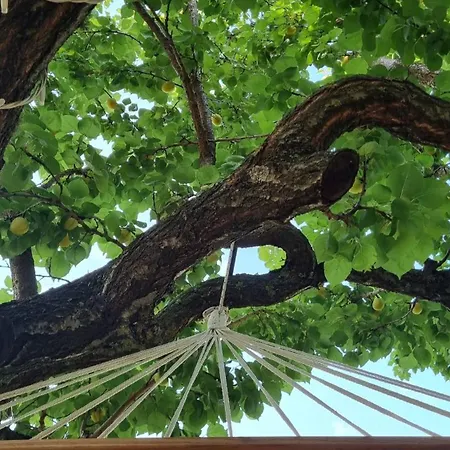 Habitat Eco Farm 豪华帐篷