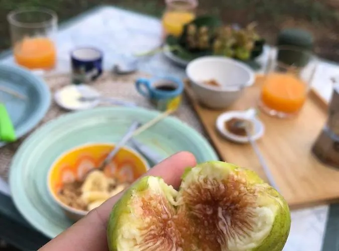 Habitat Eco Farm 豪华帐篷 *